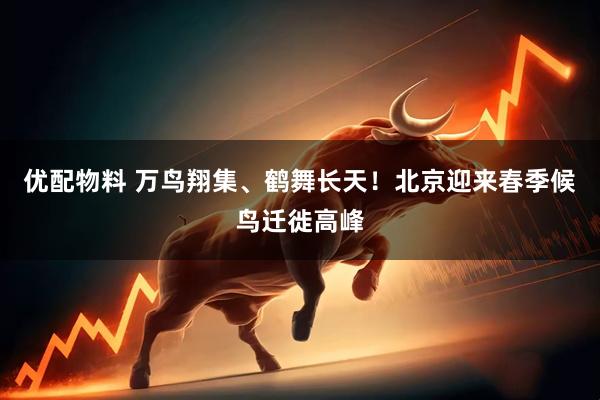 优配物料 万鸟翔集、鹤舞长天！北京迎来春季候鸟迁徙高峰