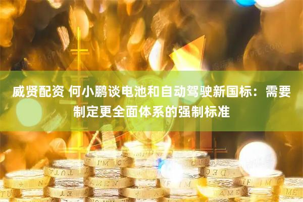威贤配资 何小鹏谈电池和自动驾驶新国标：需要制定更全面体系的强制标准